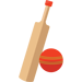 Cricket