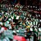 Celtic v Arsenal UEFA Champions League Qualifying