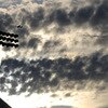 Gallery_thumb_gyi0058132049