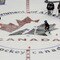 Team Canada Olympic Orientation Camp
