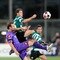Fiorentina v Sporting Lisbon UEFA Champions League Qualifier