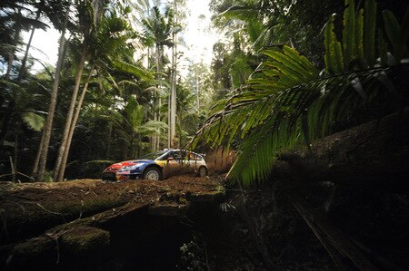 KINGSCLIFF, AUSTRALIA - SEPTEMBER 06:  Daniel Sordo of Spain and Marc Marti of Spain compete in their Citroen C 4 Total during day three of the WRC  Repco Rally of Australia on September 6, 2009  in Kingscliff, Australia  <br /><br /><span class="help">(Photo by Massimo Bettiol/Getty Images)</span>