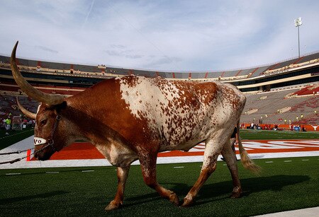 AUSTIN, TX - SEPTEMBER 19:  The Texas Longhorns mascot "Bevo" walks on the field before a game against the Texas Tech Red Raiders at Darrell K Royal-Texas Memorial Stadium on September 19, 2009 in Austin, Texas.  <br /><br /><span class="help">(Photo by Ronald Martinez/Getty Images)</span>