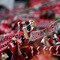 1 FC Koeln v Bayer Leverkusen Bundesliga