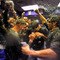 Milwaukee Brewers v Colorado Rockies