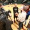 Phoenix Mercury Practice for Game 3 of  WNBA Finals