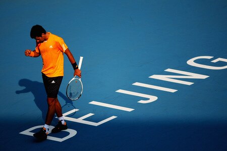 BEIJING - OCTOBER 09:  Novak Djokovic of Serbia celebrates a shot against Fernando Verdasco of Spain in the quarter-finals during day eight of the 2009 China Open at the National Tennis Centre on October 9, 2009 in Beijing, China.  <br /><br /><span class="help">(Photo by Feng Li/Getty Images)</span>