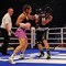 Universum Champions Night