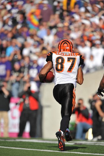 BALTIMORE - OCTOBER 11:  Andre Caldwell #87 of the Cincinnati Bengals runs the ball in for the game winning touchdown against the Baltimore Ravens at M&T Bank Stadium on October 11, 2009 in Baltimore, Maryland. The Bengals defeated the Ravens 17-14. <br /><br /><span class="help">(Photo by Larry French/Getty Images)</span>