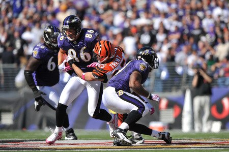 BALTIMORE - OCTOBER 11:  Todd Heap #86 of the Baltimore Ravens runs the ball against the Cincinnati Bengals at M&T Bank Stadium on October 11, 2009 in Baltimore, Maryland. The Bengals defeated the Ravens 17-14. <br /><br /><span class="help">(Photo by Larry French/Getty Images)</span>