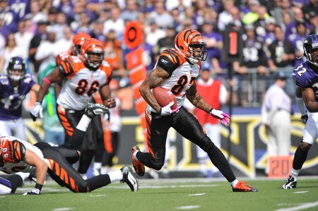 BALTIMORE - OCTOBER 11:  Andre Caldwell #87 of the Cincinnati Bengals runs the ball against the Baltimore Ravens at M&T Bank Stadium on October 11, 2009 in Baltimore, Maryland. The Bengals defeated the Ravens 17-14. <br /><br /><span class="help">(Photo by Larry French/Getty Images)</span>