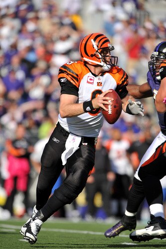 BALTIMORE - OCTOBER 11:  Carson Palmer #9 of the Cincinnati Bengals looks to pass against the Baltimore Ravens at M&T Bank Stadium on October 11, 2009 in Baltimore, Maryland. The Bengals defeated the Ravens 17-14. <br /><br /><span class="help">(Photo by Larry French/Getty Images)</span>