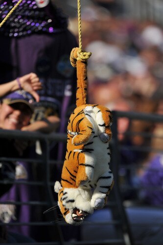 BALTIMORE - OCTOBER 11:  A fan of the Baltimore Ravens hangs a tiger during the game against the Cincinnati Bengals at M&T Bank Stadium on October 11, 2009 in Baltimore, Maryland. The Bengals defeated the Ravens 17-14. <br /><br /><span class="help">(Photo by Larry French/Getty Images)</span>