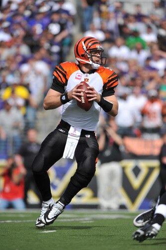 BALTIMORE - OCTOBER 11:  Carson Palmer #9 of the Cincinnati Bengals looks to pass against the Baltimore Ravens at M&T Bank Stadium on October 11, 2009 in Baltimore, Maryland. The Bengals defeated the Ravens 17-14. <br /><br /><span class="help">(Photo by Larry French/Getty Images)</span>