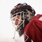 St Louis Blues v Phoenix Coyotes