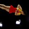 Artistic Gymnastics World Championships 2009 - Day Five