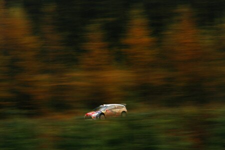 RESOLVEN, WALES - OCTOBER 24:  Dani Sordo of Spain and Citroen Total WRT drives the Citroen C4 WRC during stage ten of the Wales Rally GB at Rhondda on October 24, 2009 in Resolven, Wales.  <br /><br /><span class="help">(Photo by Paul Gilham/Getty Images)</span>