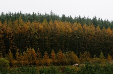 RESOLVEN, WALES - OCTOBER 24:  Sebastien Loeb of France and Citroen Total WRT drives the Citroen C4 WRC during stage ten of the Wales Rally GB at Rhondda on October 24, 2009 in Resolven, Wales.  <br /><br /><span class="help">(Photo by Paul Gilham/Getty Images)</span>