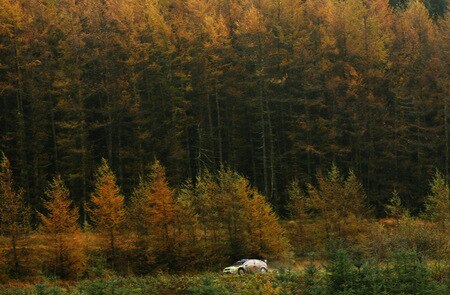 RESOLVEN, WALES - OCTOBER 24:  Mikko Hirvonen of Finalnd and BP Ford Abu Dhabi World Rally Team drives the Ford Focus RS WRC 09 during stage ten of the Wales Rally GB at Rhondda on October 24, 2009 in Resolven, Wales.  <br /><br /><span class="help">(Photo by Paul Gilham/Getty Images)</span>