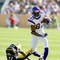 Minnesota Vikings v Pittsburgh Steelers