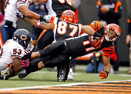 CINCINNATI - OCTOBER 25:  Laveranues Coles #11 of the Cincinnati Bengals scores a touchdcown during the NFL game against the Chicago Bears at Paul Brown Stadium on October 25, 2009 in Cincinnati, Ohio.  The Bengals won 45-10.  <br /><br /><span class="help">(Photo by Andy Lyons/Getty Images)</span>