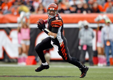CINCINNATI - OCTOBER 25:  Carson Palmer #9 of the Cincinnati Bengals looks to pass the ball  during the NFL game against the Chicago Bears at Paul Brown Stadium on October 25, 2009 in Cincinnati, Ohio.  The Bengals won 45-10.  <br /><br /><span class="help">(Photo by Andy Lyons/Getty Images)</span>