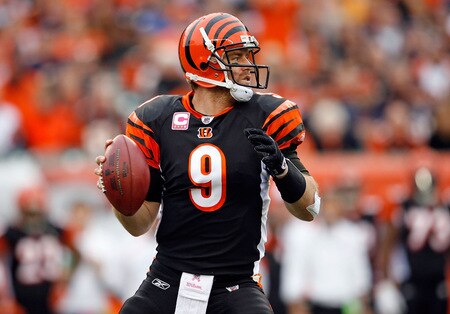CINCINNATI - OCTOBER 25:  Carson Palmer #9 of the Cincinnati Bengals looks to pass the ball  during the NFL game against the Chicago Bears at Paul Brown Stadium on October 25, 2009 in Cincinnati, Ohio.  The Bengals won 45-10.  <br /><br /><span class="help">(Photo by Andy Lyons/Getty Images)</span>