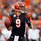 Chicago Bears v Cincinnati Bengals