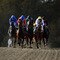 Lingfield Races