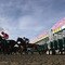 Lingfield Races