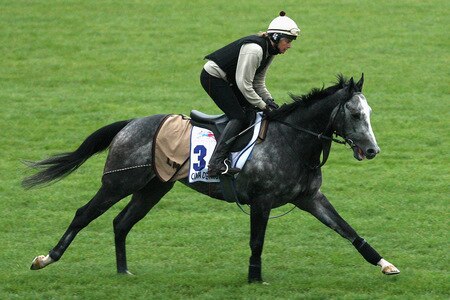 MELBOURNE, AUSTRALIA - OCTOBER 28:  Sara Cumani rides Cima De Triomphe down the straight during trackwork at Sandown Racecourse on October 28, 2009 in Melbourne, Australia.  <br /><br /><span class="help">(Photo by Quinn Rooney/Getty Images)</span>