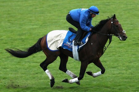 MELBOURNE, AUSTRALIA - OCTOBER 28:  Kirklees of the Godolphin stables runs down the straight during trackwork at Sandown Racecourse on October 28, 2009 in Melbourne, Australia.  <br /><br /><span class="help">(Photo by Quinn Rooney/Getty Images)</span>