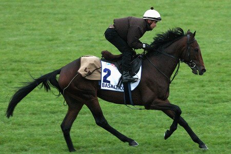 MELBOURNE, AUSTRALIA - OCTOBER 28:  Basaltico of the Camani stables runs down the straight during trackwork at Sandown Racecourse on October 28, 2009 in Melbourne, Australia.  <br /><br /><span class="help">(Photo by Quinn Rooney/Getty Images)</span>