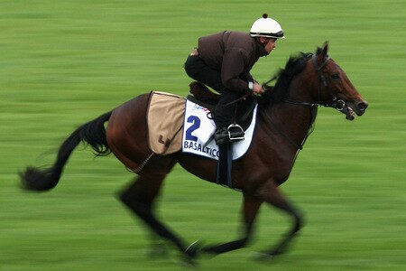 MELBOURNE, AUSTRALIA - OCTOBER 28:  Basaltico of the Camani stables runs down the straight during trackwork at Sandown Racecourse on October 28, 2009 in Melbourne, Australia.  <br /><br /><span class="help">(Photo by Quinn Rooney/Getty Images)</span>