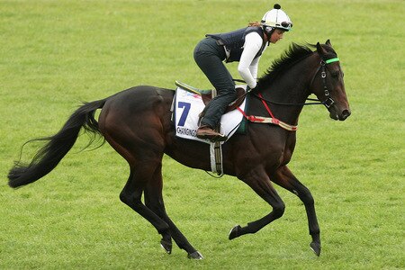 MELBOURNE, AUSTRALIA - OCTOBER 28:  Lizzie Jelfs rides Changing of the Guard down the straight during trackwork at Sandown Racecourse on October 28, 2009 in Melbourne, Australia.  <br /><br /><span class="help">(Photo by Quinn Rooney/Getty Images)</span>