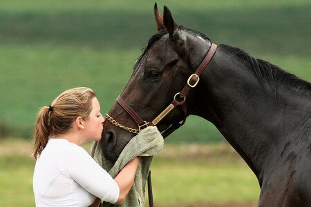 MELBOURNE, AUSTRALIA - OCTOBER 28:  Stable foreperson Lizzie Jelfs kisses Changing of the Guard on the nose after trackwork at Sandown Racecourse on October 28, 2009 in Melbourne, Australia.  <br /><br /><span class="help">(Photo by Quinn Rooney/Getty Images)</span>