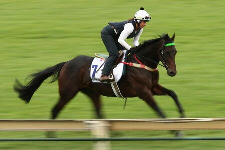 MELBOURNE, AUSTRALIA - OCTOBER 28:  Lizzie Jelfs rides Changing of the Guard down the straight during trackwork at Sandown Racecourse on October 28, 2009 in Melbourne, Australia.  <br /><br /><span class="help">(Photo by Quinn Rooney/Getty Images)</span>