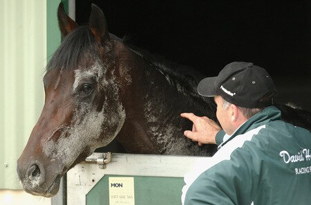 MELBOURNE, AUSTRALIA - OCTOBER 28:  Trainer David Hayes looks over his horse Changing of the Guard after trackwork at Sandown Racecourse on October 28, 2009 in Melbourne, Australia.  <br /><br /><span class="help">(Photo by Quinn Rooney/Getty Images)</span>