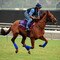 Breeders' Cup Preview
