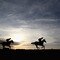 Wincanton Races