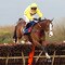 Wincanton Races