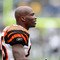 Cincinnati Bengals v Oakland Raiders