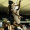 West Virginia v Texas A&M