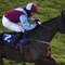 Newbury Races