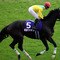 Japan Cup