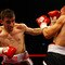 Bobby Ward v Pavels Senkovs