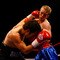 Steve Barnes v  Ian Bailey