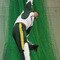Pakistan Nets Session