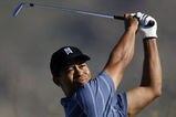 Random_key_69913_file_3176050_wgcmatchplay_more_feature