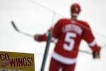 Random_key_26246_file_redwings
